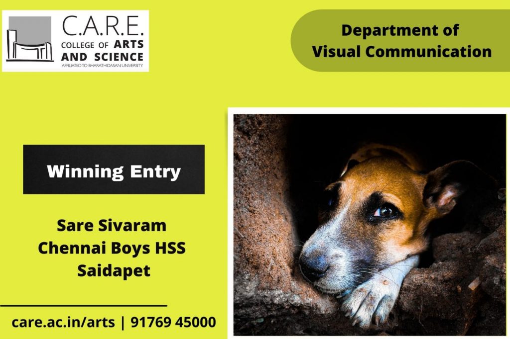 Winning Entries - Inaugural School Students' Photography Competition 2021 -  CARE College of Arts and Science