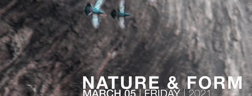 Workshop on Nature and Form
