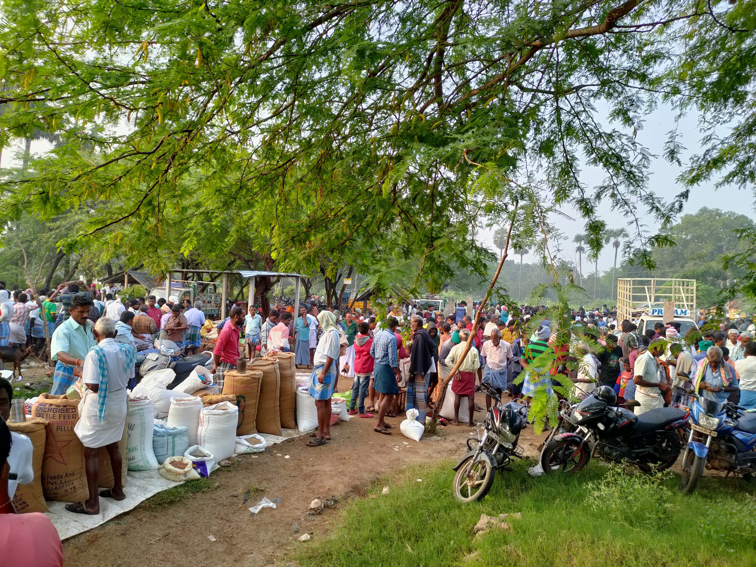 How Micro Economic works? – A field Study